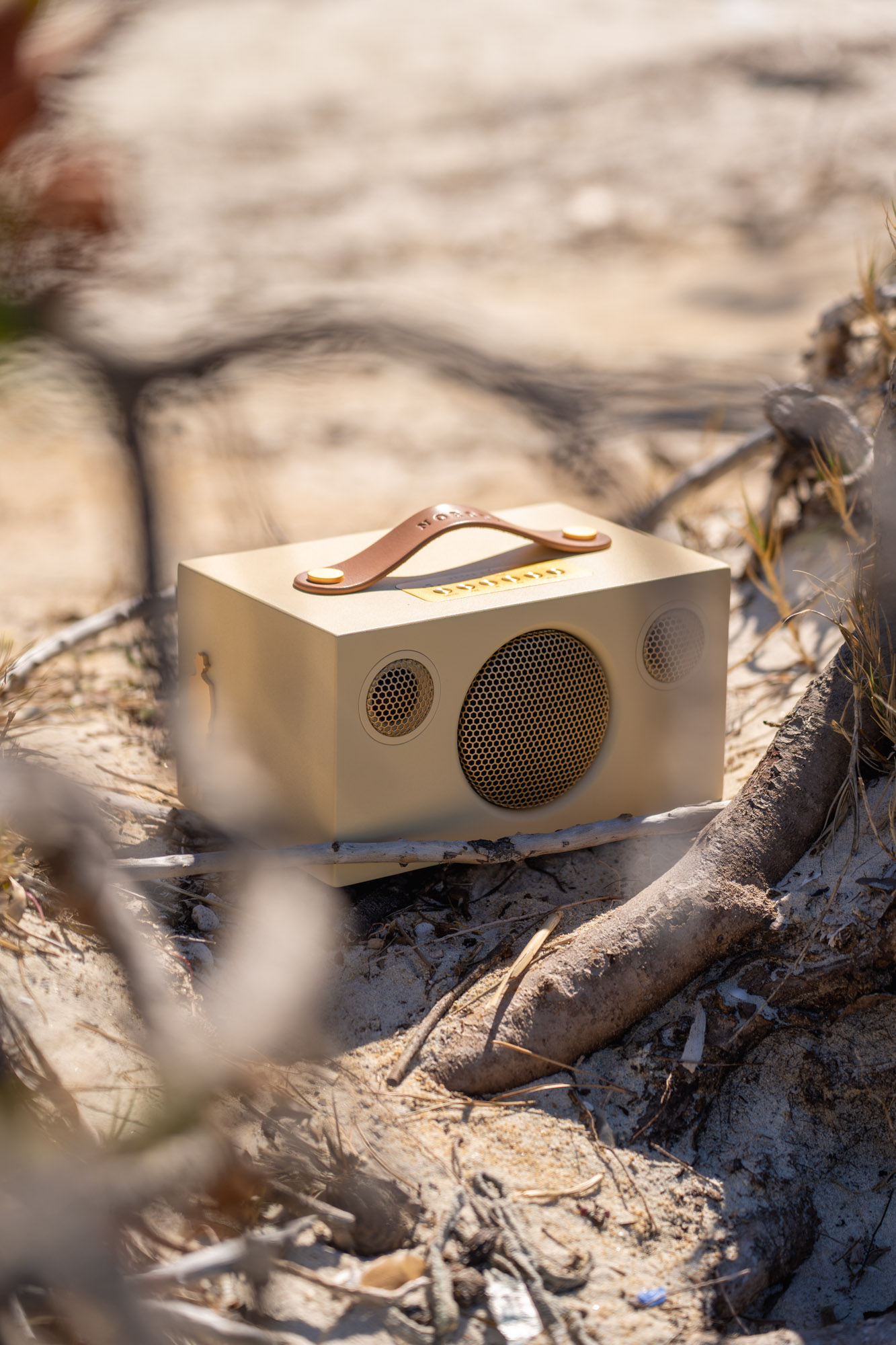 wireless-portable-speaker-T3-LIMITED-EDITION-PETER-EUGEN-AudioPro-Lifestyle06